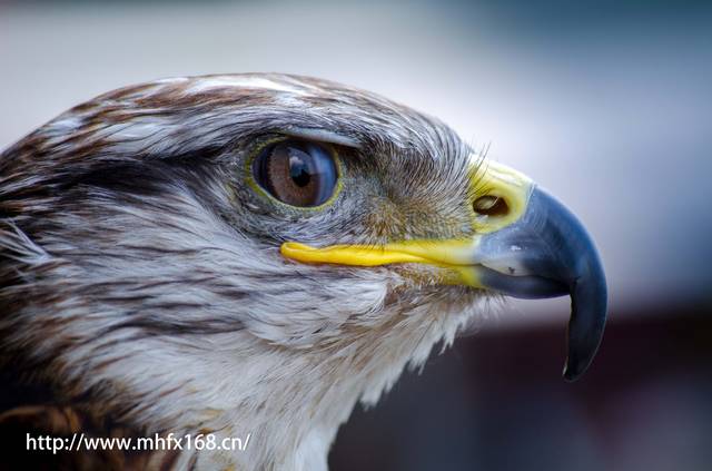 儿童补硒量药物（药物补量儿童硒的危害）-硒宝网