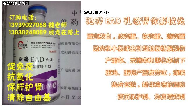 仔猪补硒有哪些（仔猪补硒多了什么症状）-硒宝网