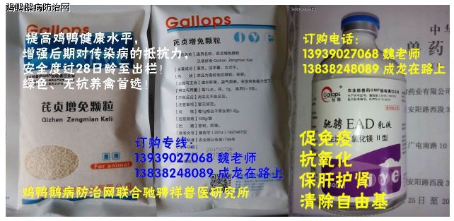 仔猪补硒有哪些（仔猪补硒多了什么症状）-硒宝网