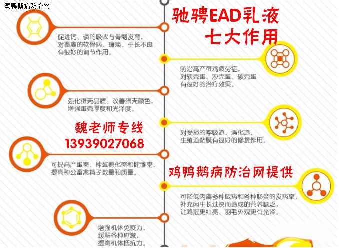 仔猪补硒有哪些（仔猪补硒多了什么症状）-硒宝网