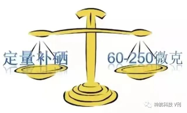 人应该怎么补硒(适当补硒)-硒宝网