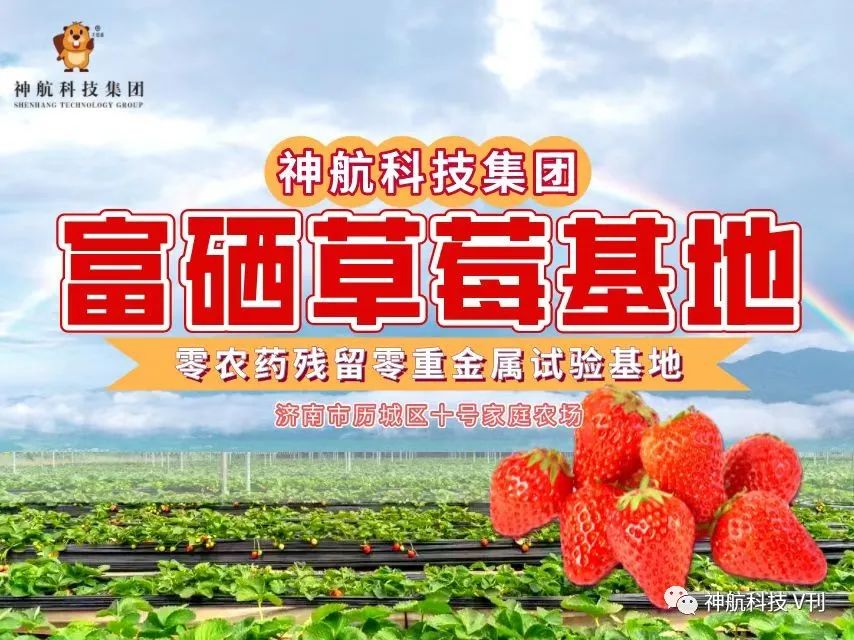 人应该怎么补硒(适当补硒)-硒宝网