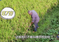 有机硒片补硒吗(片剂硒的缺馅)-硒宝网