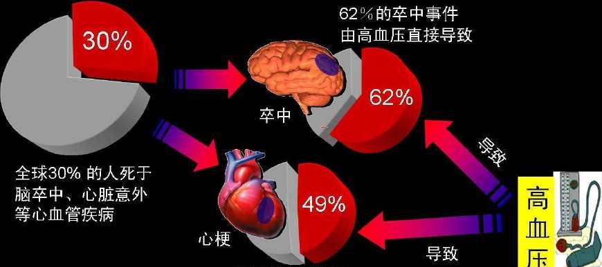 补硒导致高血压(高血压能吃硒吗)-硒宝网