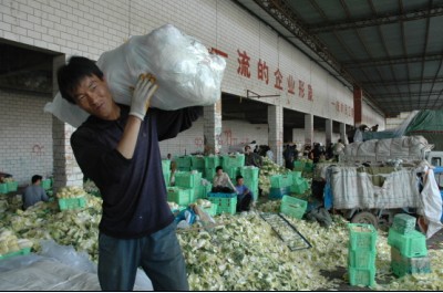 于若木  补硒（补硒的效果怎么样）-硒宝网