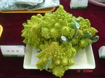 于若木  补硒（补硒的效果怎么样）-硒宝网