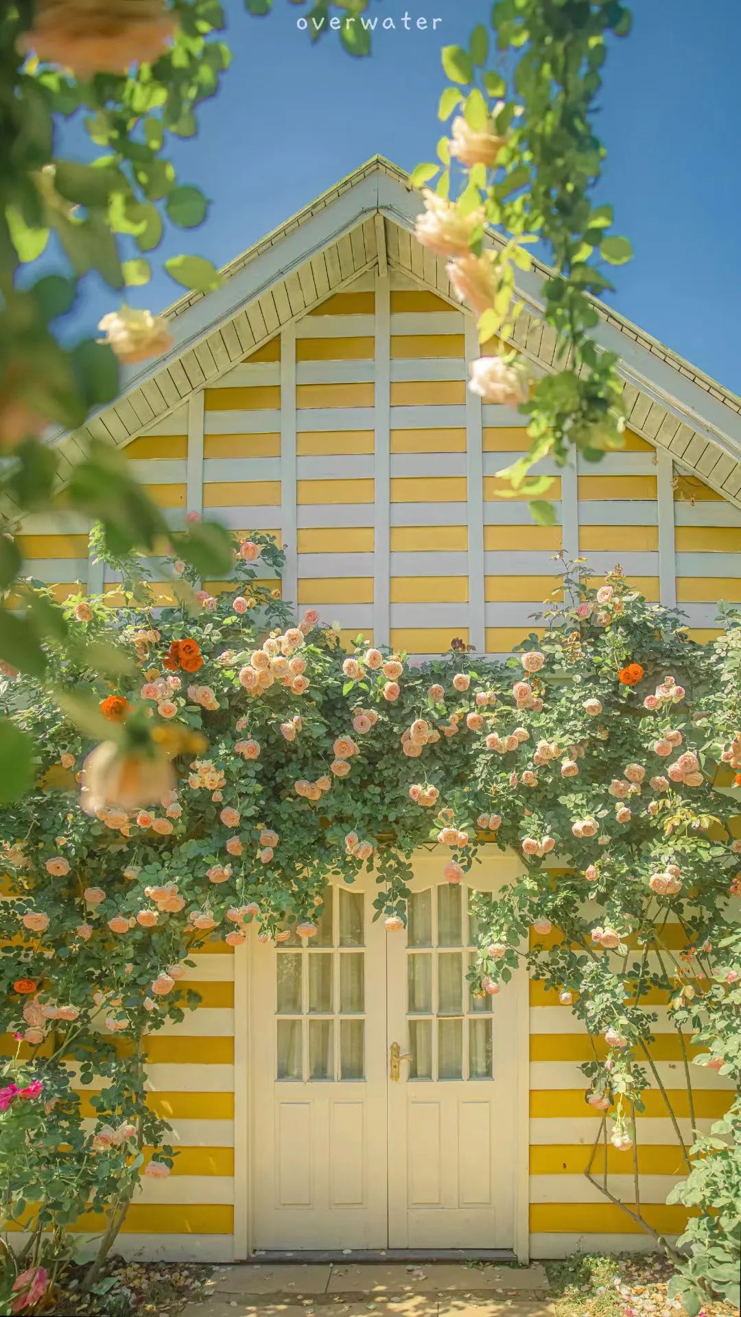 补硒的药品好吗（补硒的药可以长期吃吗）-硒宝网
