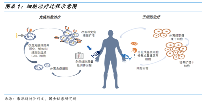 肠癌还能补硒吗（硒与肠癌）-硒宝网