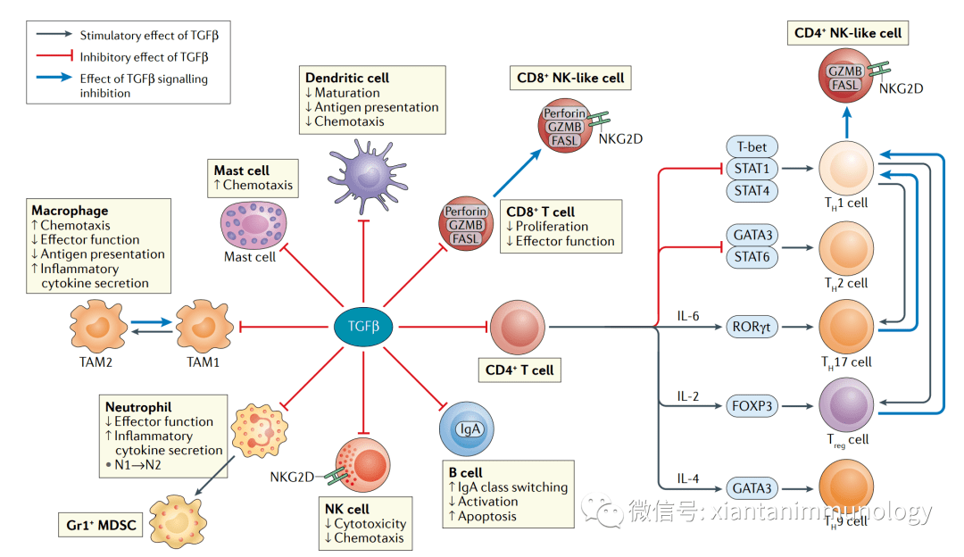 肠癌还能补硒吗（硒与肠癌）-硒宝网