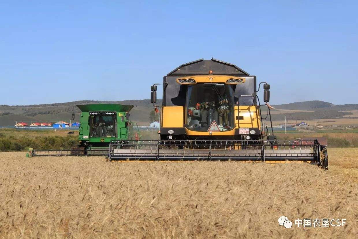 黄瓜籽补钙（黄瓜籽补钙骗局）-硒宝网