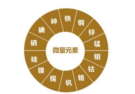 如何补硒锌元素(锌硒元素的食物)-硒宝网