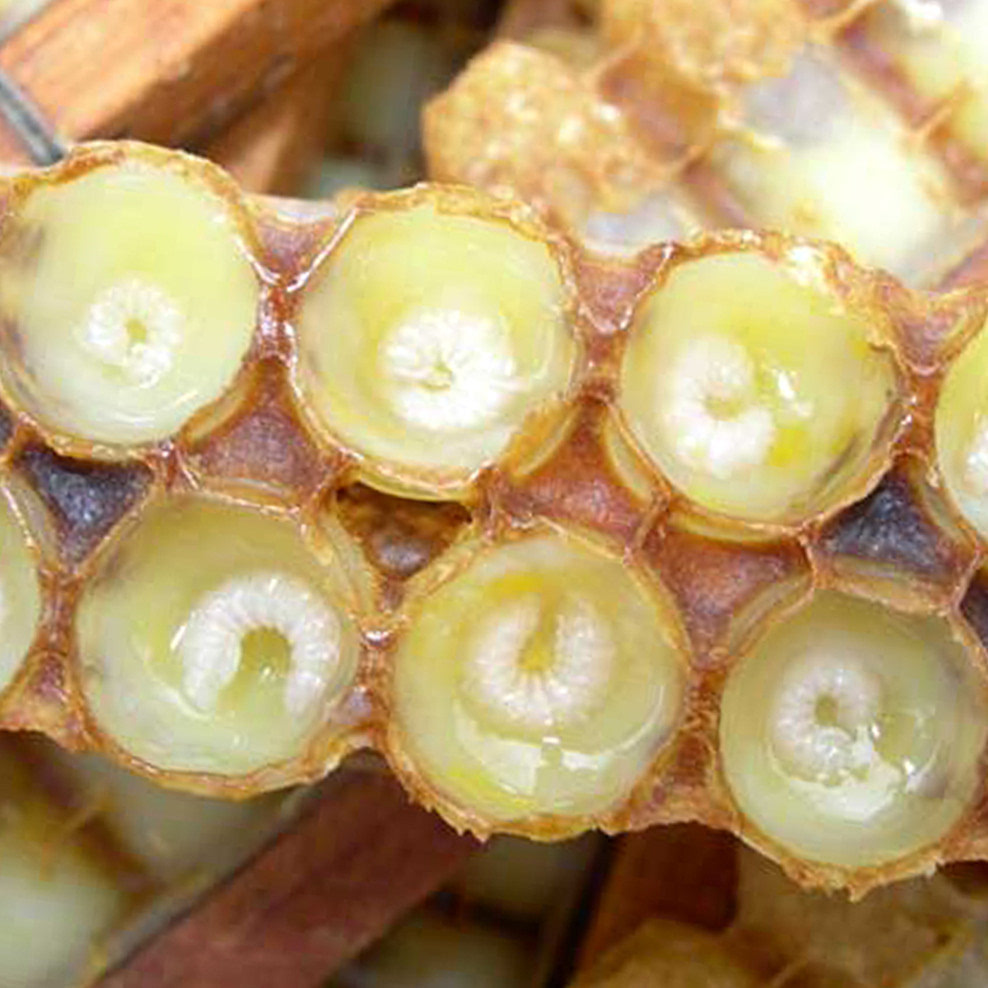 补硒上火的症状(上火应该补充什么)-硒宝网