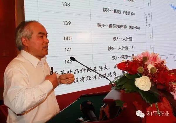 茶叶可以补硒吗（茶叶补硒可以长期喝吗）-硒宝网