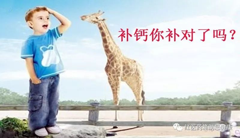 d3补钙吗（补钙什么牌子钙片效果最好）-硒宝网