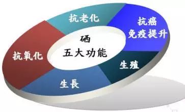 补硒能治帕金森（能治补帕金森硒的药物）-硒宝网