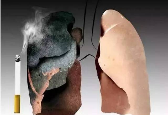 补硒后尿液清澈（吃完硒片尿变黄）-硒宝网