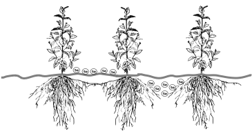 茶叶可以补硒吗（茶叶补硒可以天天喝吗）-硒宝网