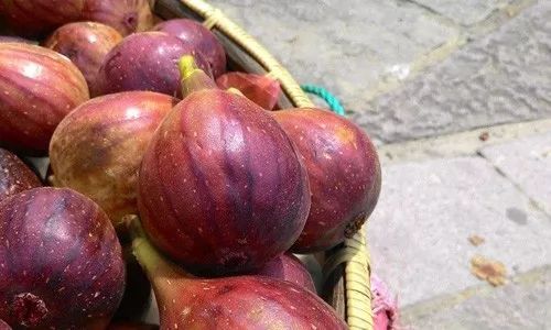 肺癌补什么硒好（肺癌补硒管用吗）-硒宝网