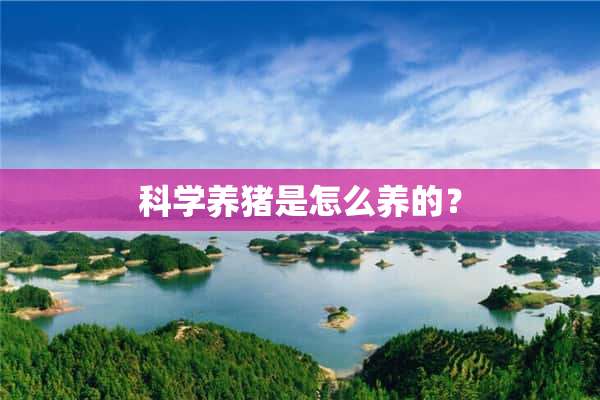 仔猪补硒的好处(仔猪补硒的作用)-硒宝网