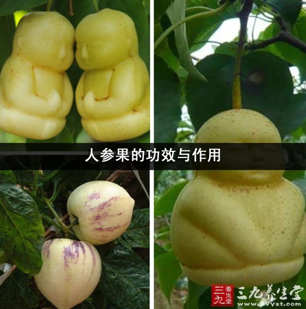 补硒的含量多少(补充硒的作用)-硒宝网