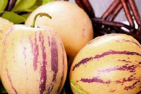 补硒的含量多少(补充硒的作用)-硒宝网