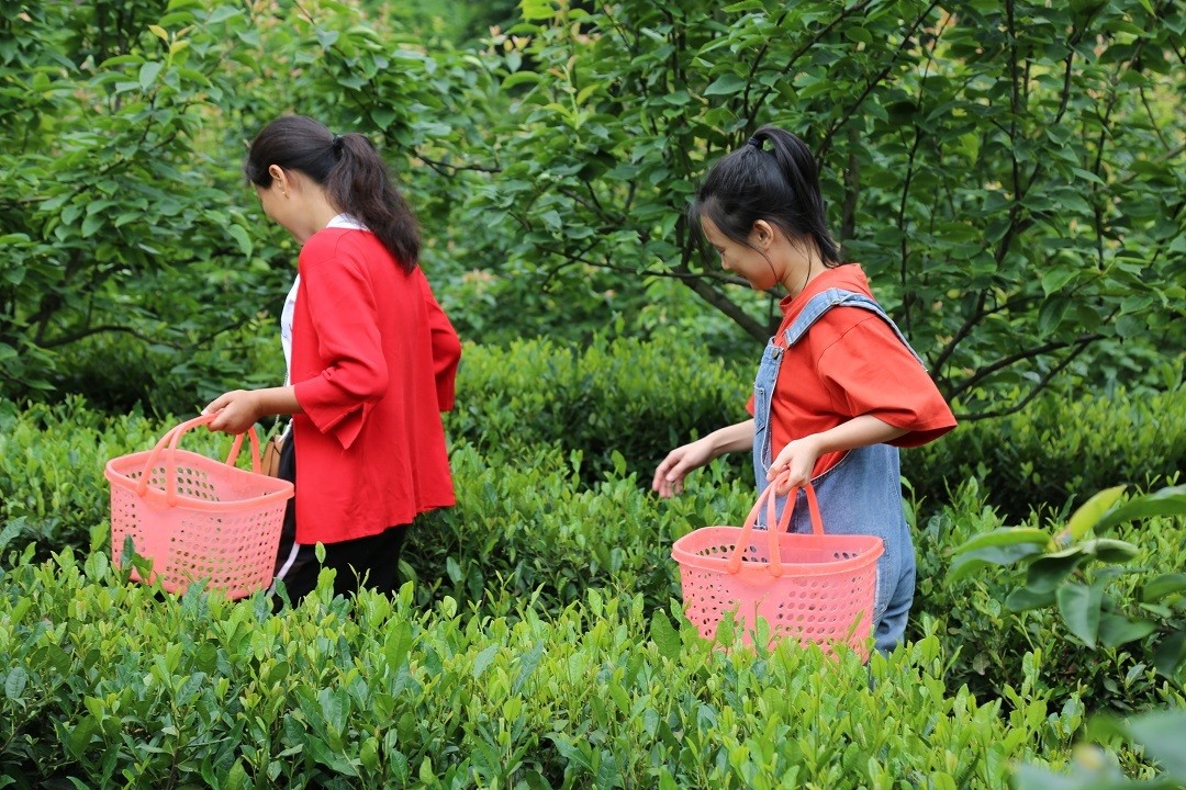 贵州肝癌村补硒(硒对肝癌的作用)-硒宝网