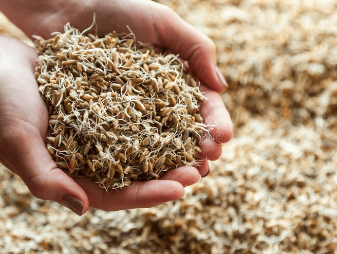 补硒后眼睛发黄(补硒后对眼睛的作用)-硒宝网