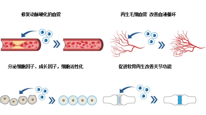 老年补硒的好处(补硒可以提高老年人的健康水平)-硒宝网