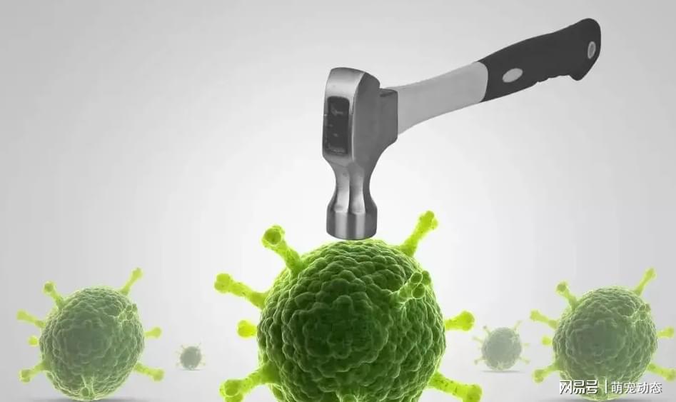 科学补硒的方法(如何科学补硒才能保证效果)-硒宝网