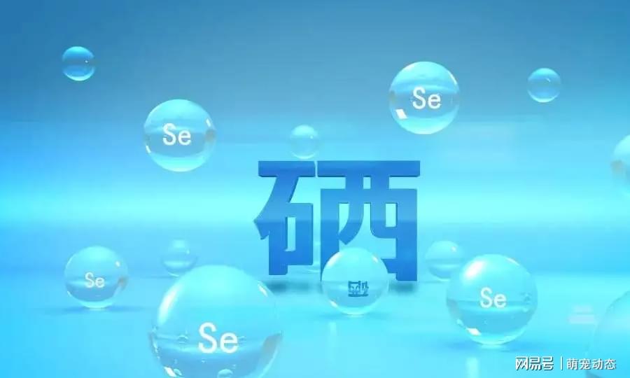 科学补硒的方法(如何科学补硒才能保证效果)-硒宝网