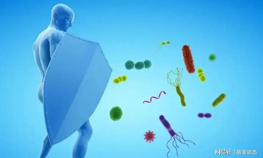 科学补硒的方法(如何科学补硒才能保证效果)-硒宝网