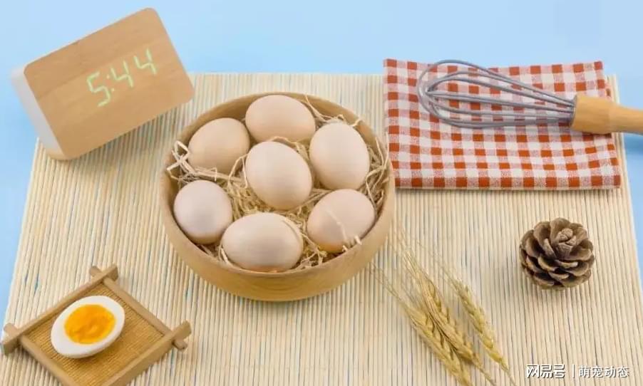 科学补硒的方法(如何科学补硒才能保证效果)-硒宝网