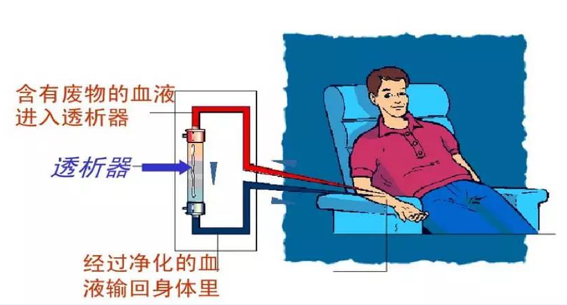 透析需要补硒吗(透析需要补钙吗)-硒宝网