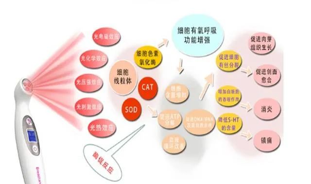 乳腺结节要补硒（乳腺结节补硒能好吗）-硒宝网