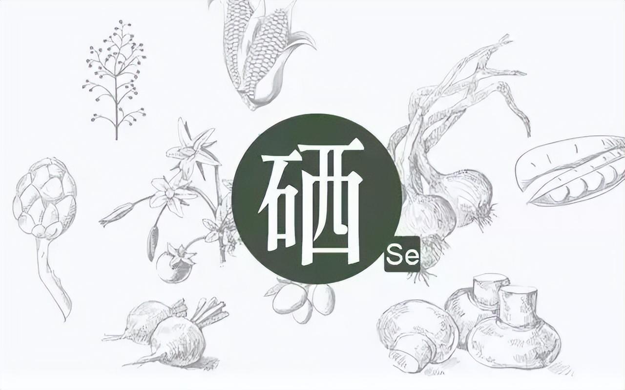 植物缺硒怎么补（植物硒补多了对人体有害吗）-硒宝网