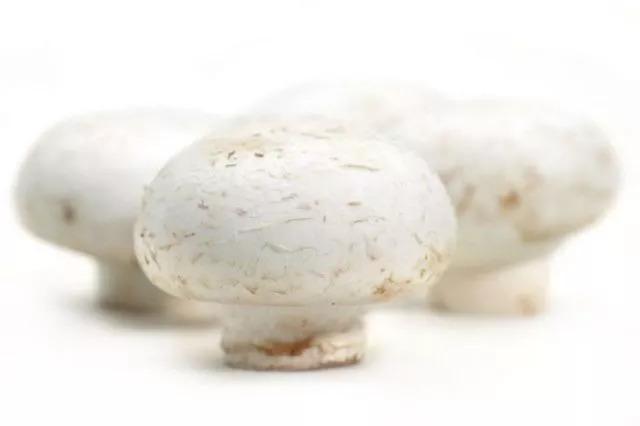 关于补硒的传说（硒的传说）-硒宝网