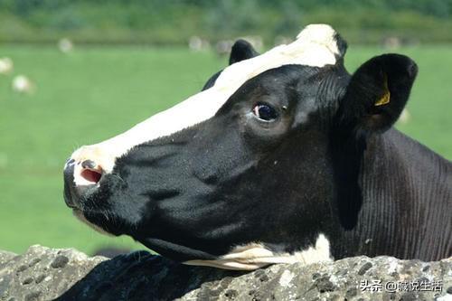 软组织肉瘤补硒(软组织肉瘤特效药)-硒宝网