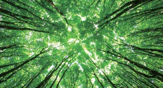 人身体怎样补硒（人体补硒好吗）-硒宝网