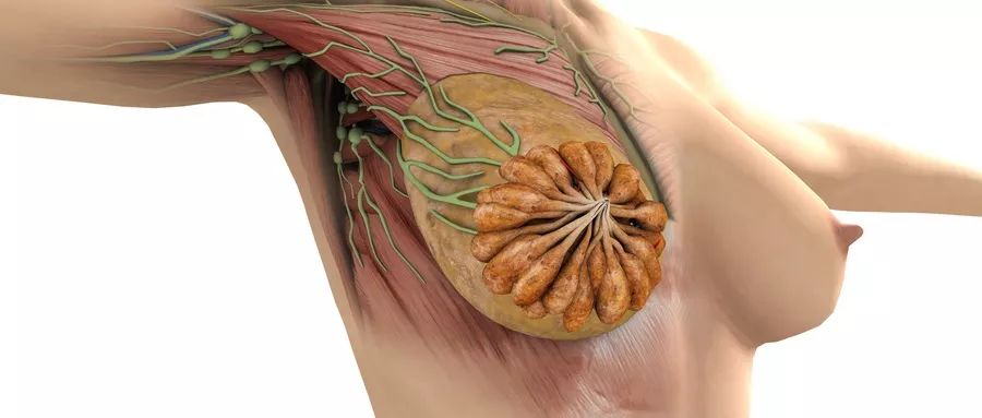 补硒后癌症好了（补充硒癌症就不会复发吗）-硒宝网