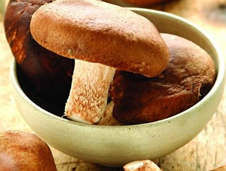 猪腰怎么吃补硒（猪腰硒）-硒宝网