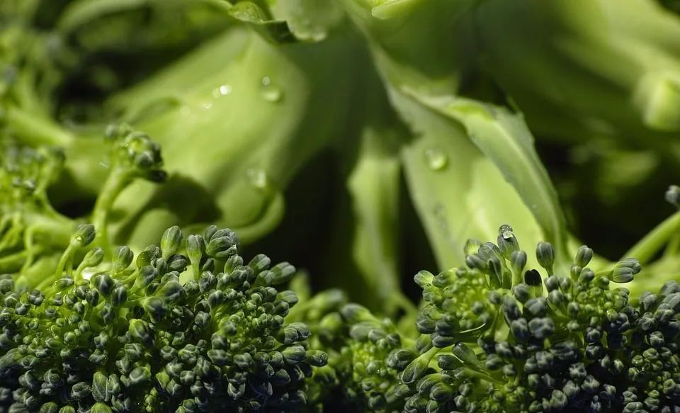 可以补硒的水果(水果补硒可以长期吃吗)-硒宝网