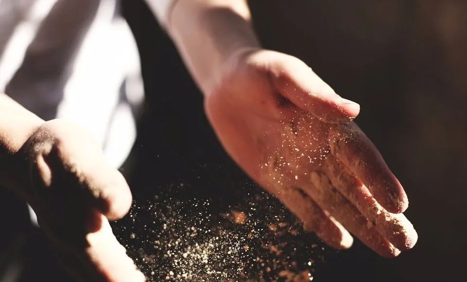 可以补硒的水果(水果补硒可以长期吃吗)-硒宝网