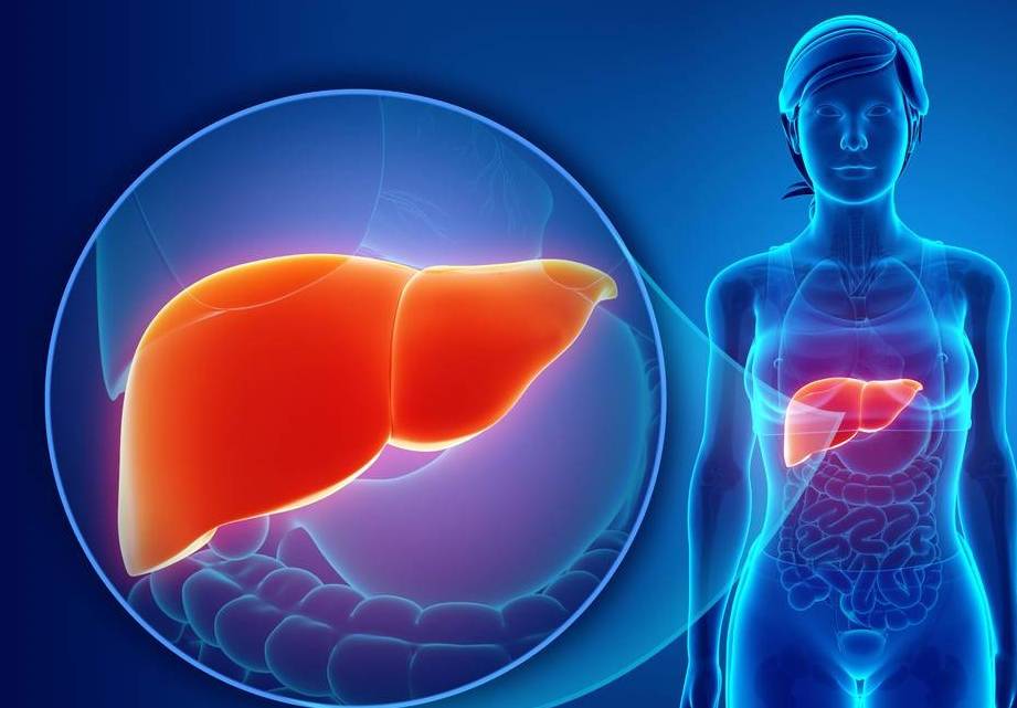 补硒元素是什么(硒元素补充剂)-硒宝网