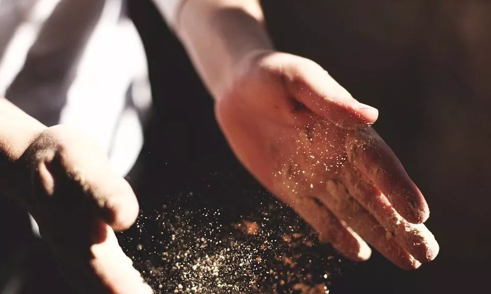 可以补硒的水果（水果补硒可以天天吃吗）-硒宝网