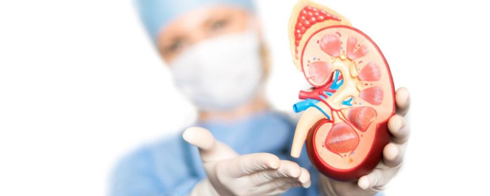 肾病需要补硒吗（肾病补硒的好处）-硒宝网