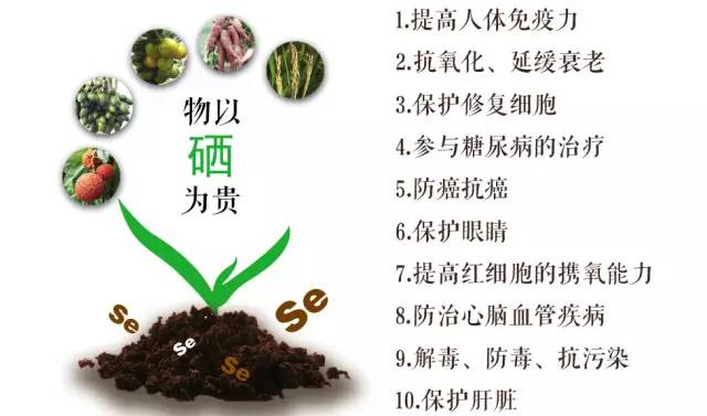 日常补硒的方式(日常补硒要遵循什么原则)-硒宝网