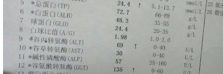 谷氨酰高 补硒（硒谷科技高硒谷物营养粉）-硒宝网