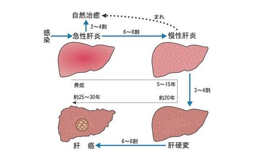谷氨酰高 补硒（硒谷科技高硒谷物营养粉）-硒宝网