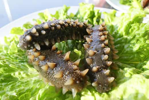 全球补钙排名第一(全球最好的补钙品牌)-硒宝网