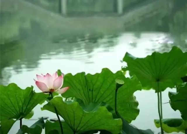 补硒会导致出血(补硒会影响月经吗)-硒宝网